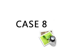 case 8